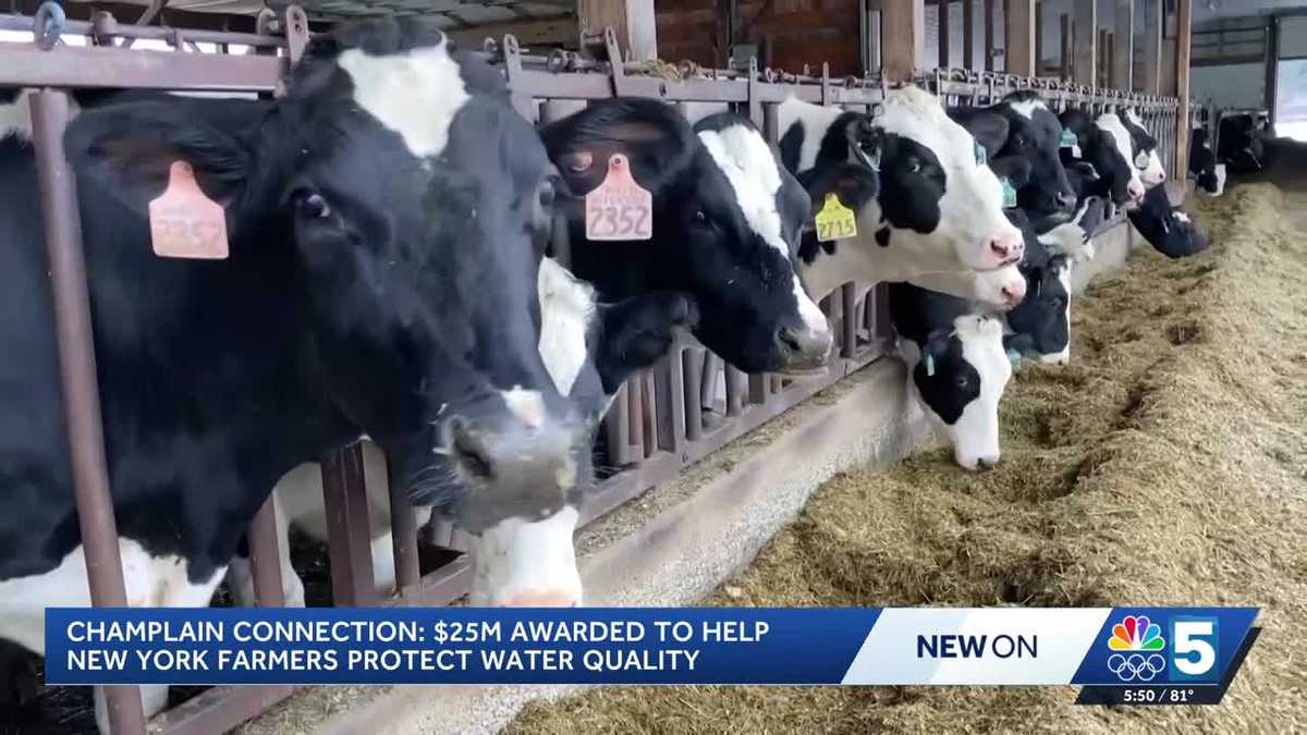 New York State awards over $25 million to improve farm water quality