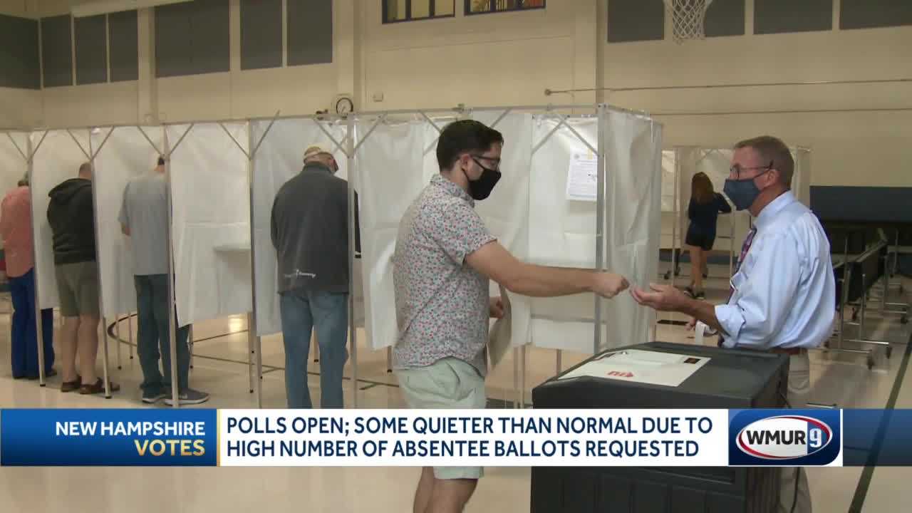 Voters Hit Polls, Vote Absentee On Unique Primary Day