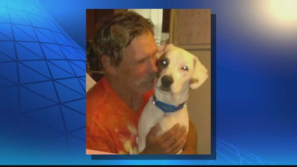 Homeless man heartbroken after his 'therapy dog' goes missing from ...