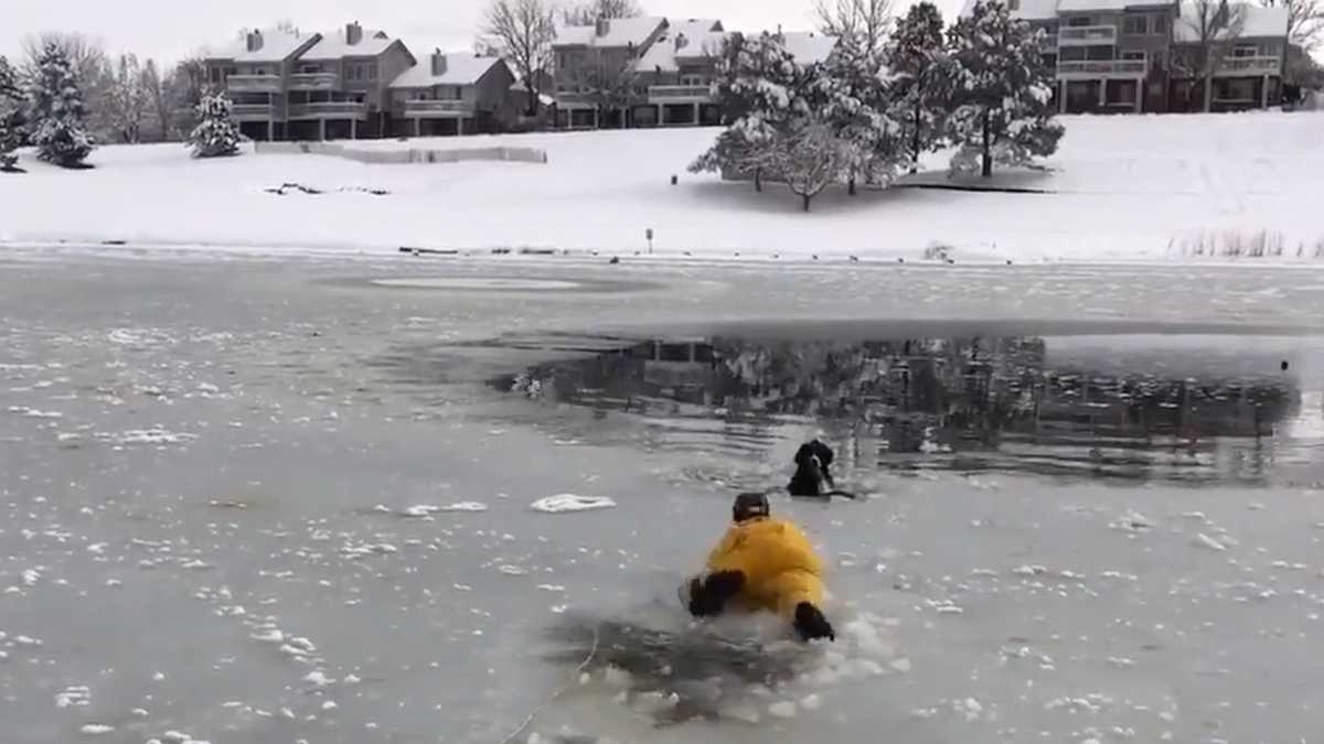 Heartwarming video shows firefighters saving dog trapped in frozen pond