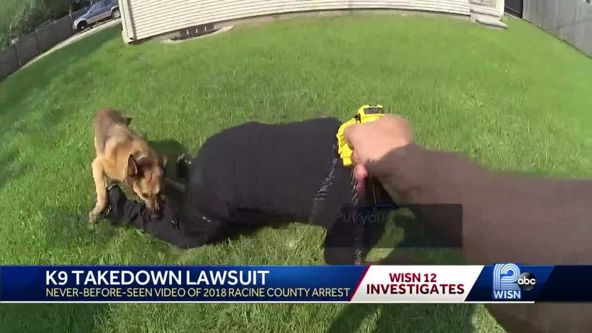 K9 arrest: Man files lawsuit against deputy, Racine County