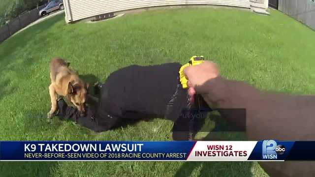 K9 arrest: Man files lawsuit against deputy, Racine County - Vimarsana News