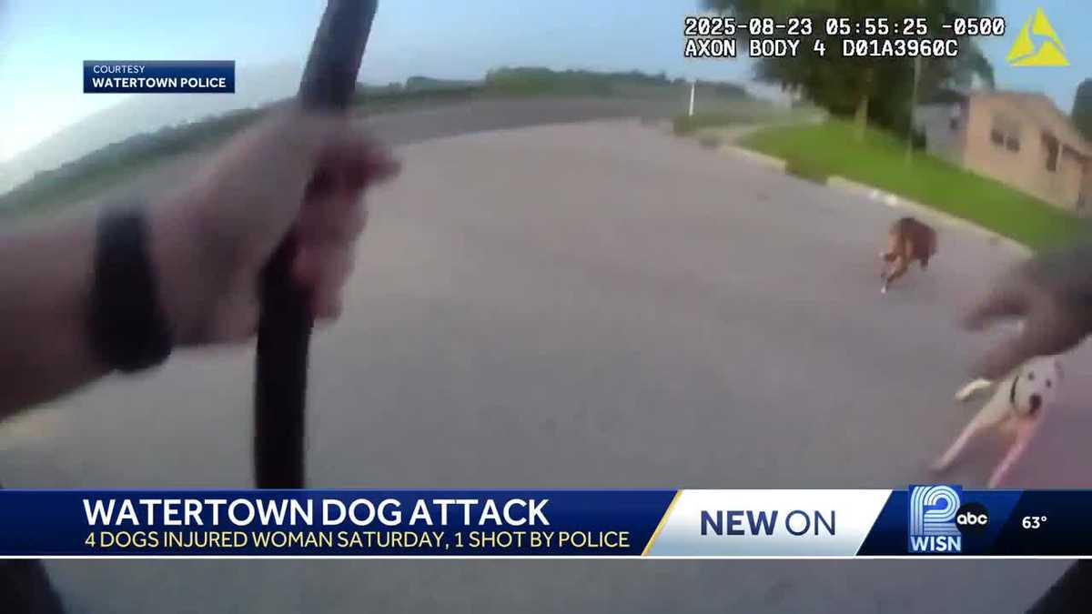 Woman attacked in Watertown by four dogs
