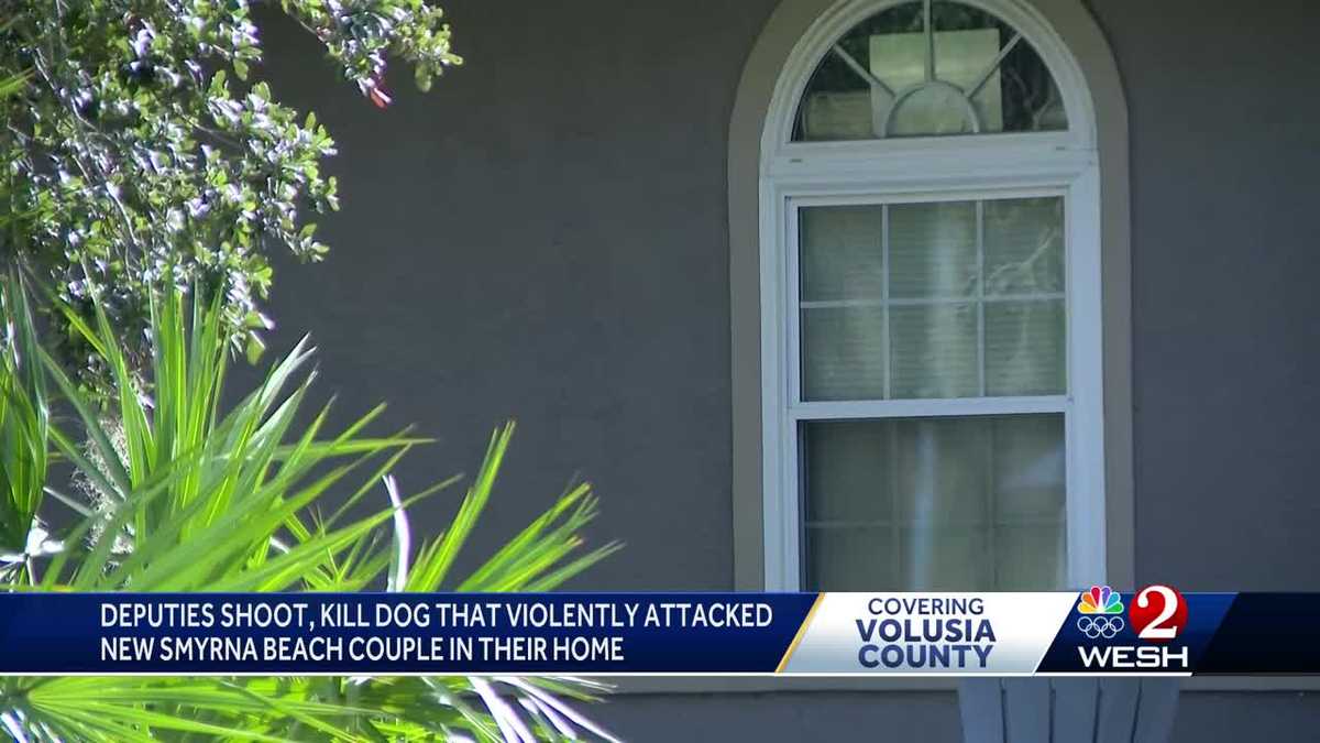 Deputies save couple from dog attack in New Smyrna Beach