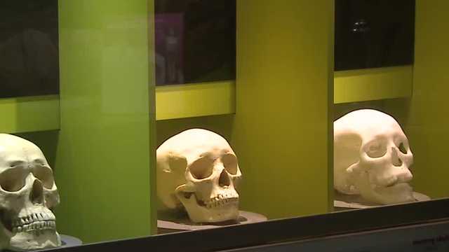 Kentucky Science Center hosting 'spooky' events for adults - Vimarsana News