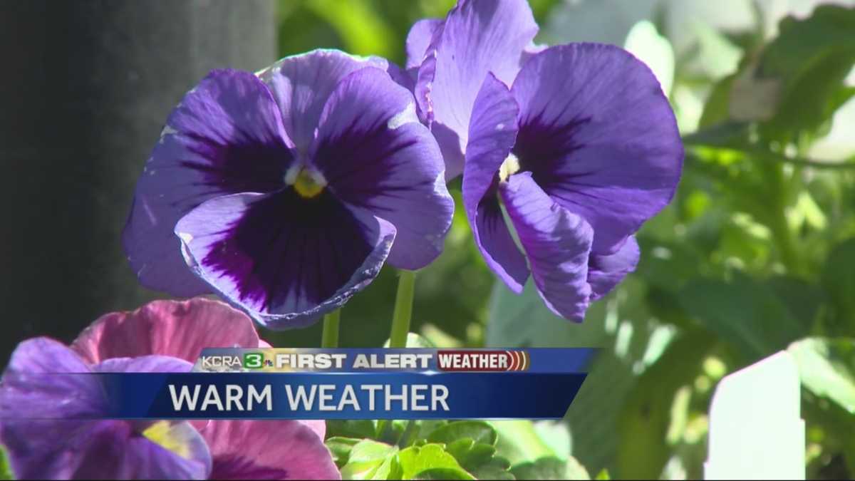 Sacramento experiences spring-like weather in February