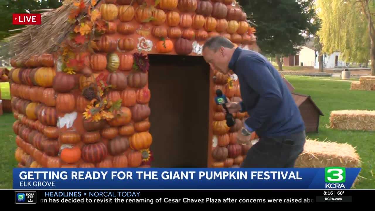 Giant Pumpkin Festival returns for 32nd year in Elk Grove