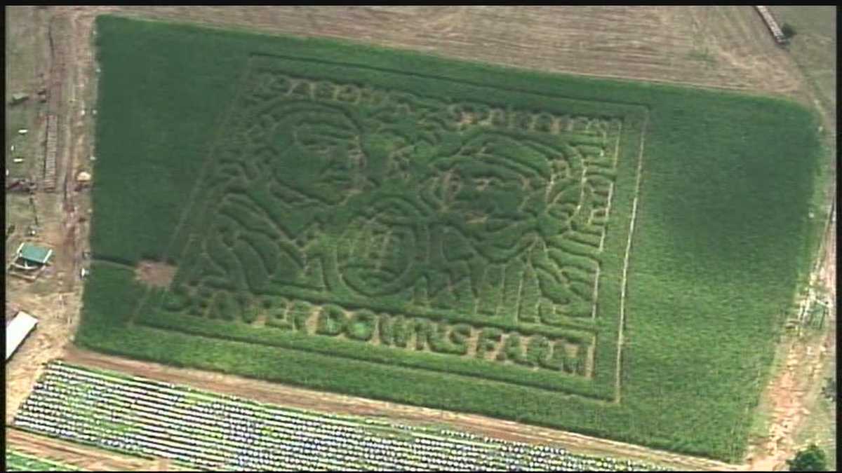 How Denver Downs creates corn mazes