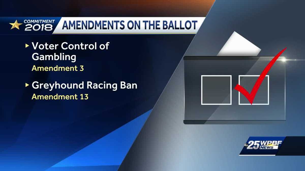 Amendments on the ballot