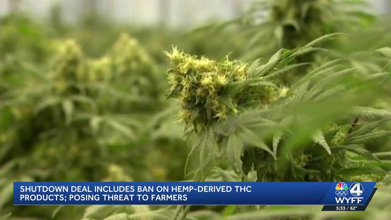 wyff4.com - Caitlin Ashbaugh - Upstate hemp farms fear risk of empty shelves under new federal restriction