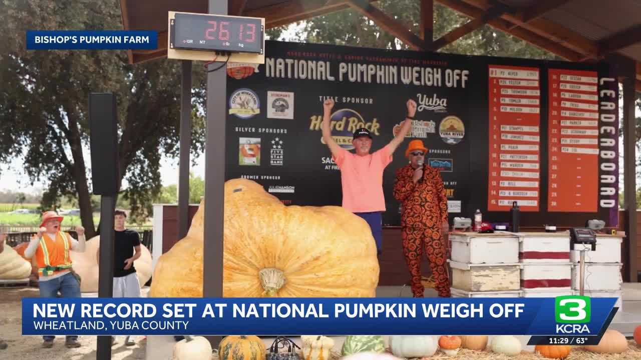 Record-breaking pumpkin weighs over 2,600 pounds at Yuba County weigh-off