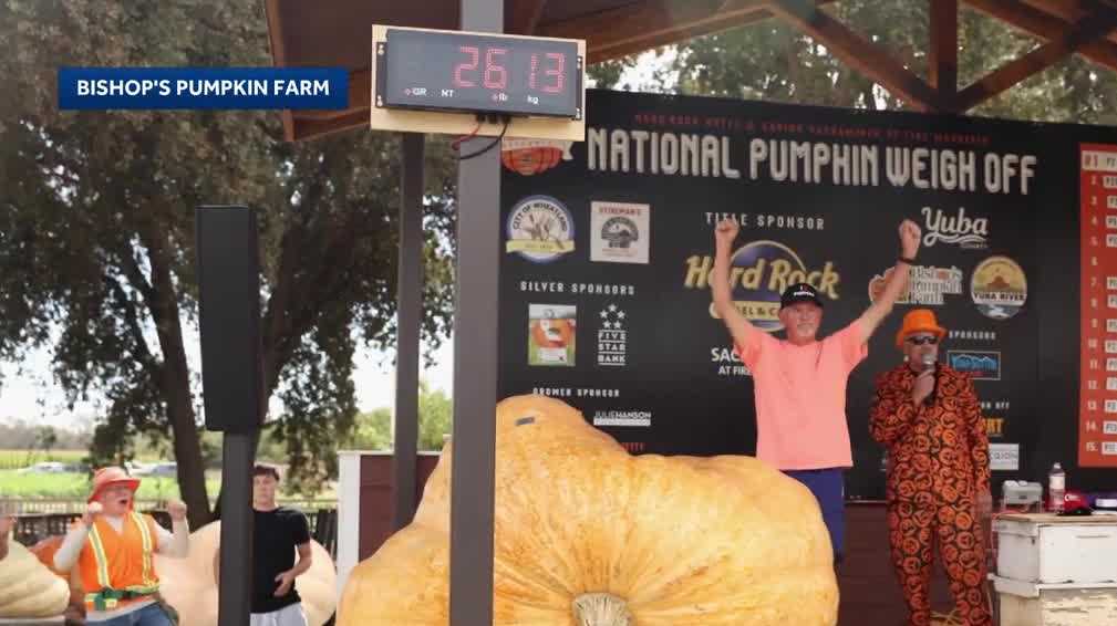 Record - breaking pumpkin weighs over 2 , 600 pounds at Yuba County weigh - off
