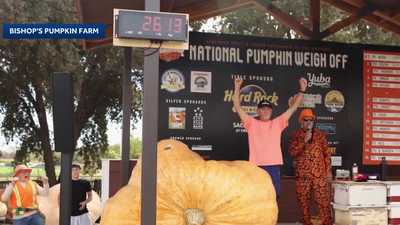 New record set at National Pumpkin Weigh Offwdsu