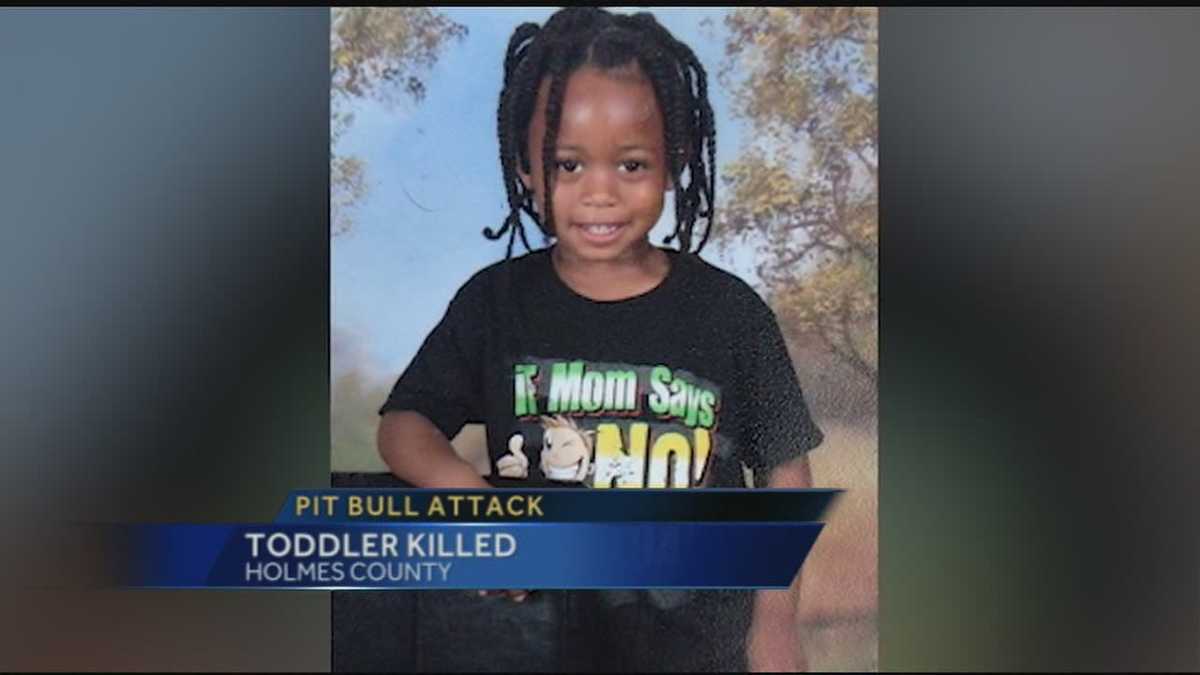 Child killed in dog attack