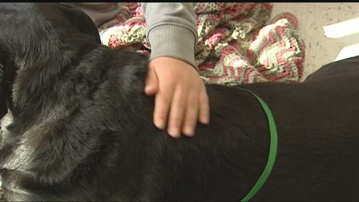 Family left devastated after dog shot near Oklahoma City high school