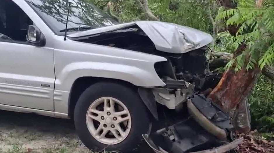 Casselberry woman questions police investigation after driver crashes into tree near her home