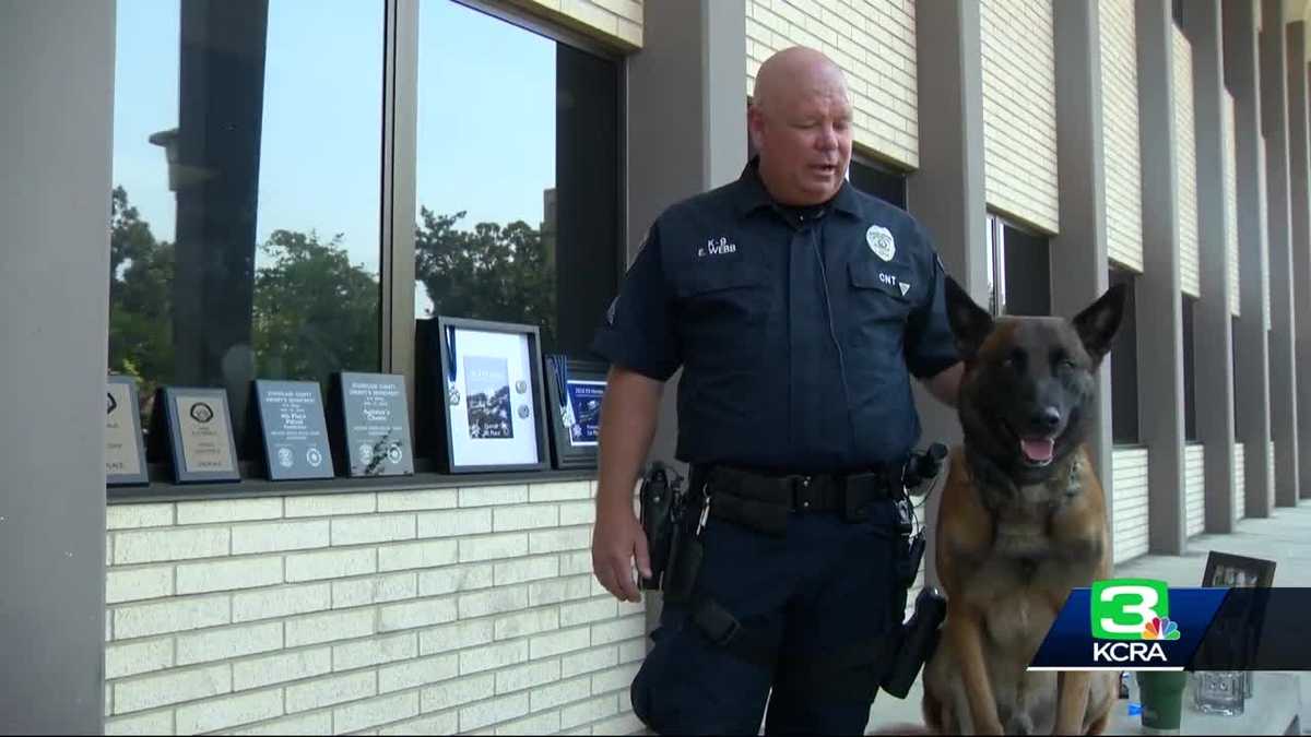 Stockton K-9 officer recognized for being top dog