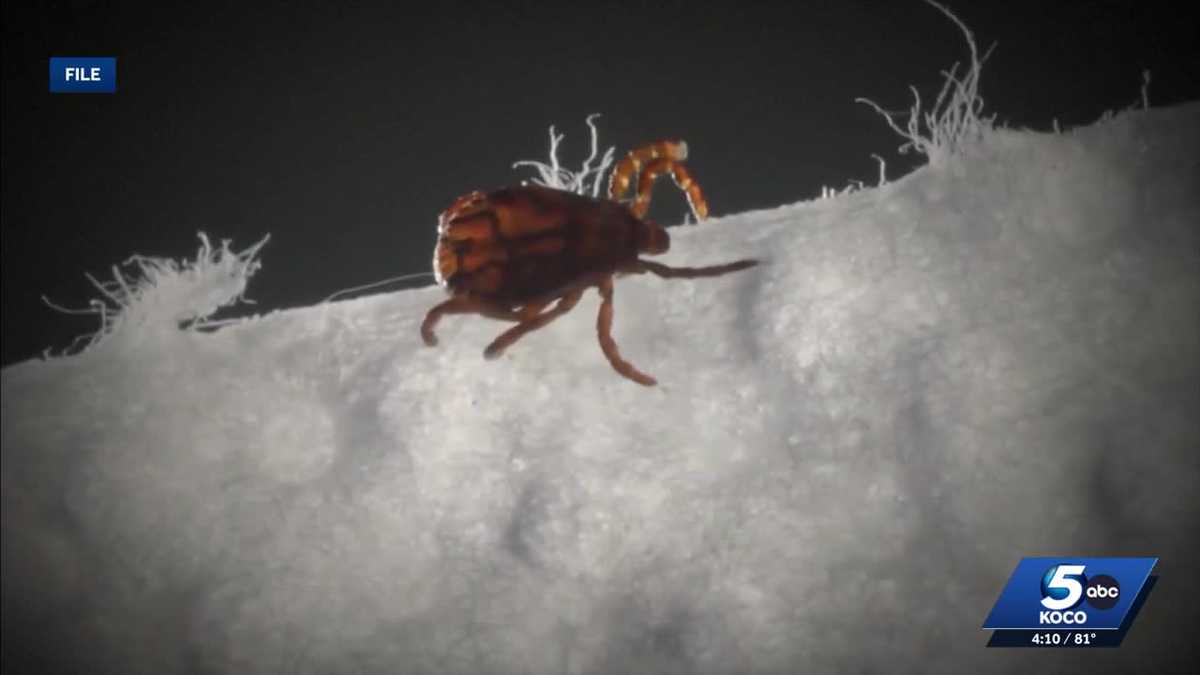 Oklahoma designates May as Alpha-gal Awareness Month to combat tick-borne illness