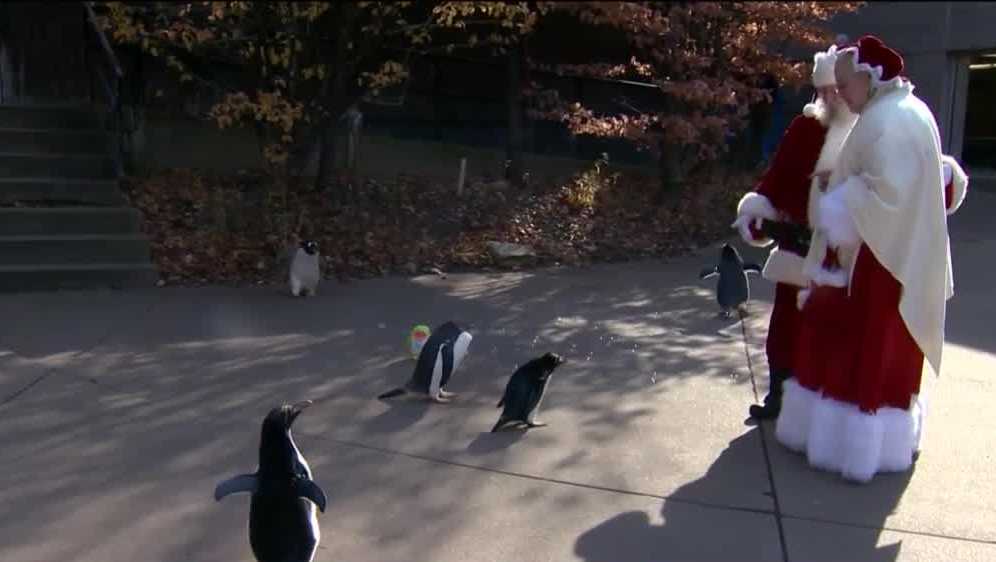 Penguins go on parade at Pittsburgh Zoo & PPG Aquarium