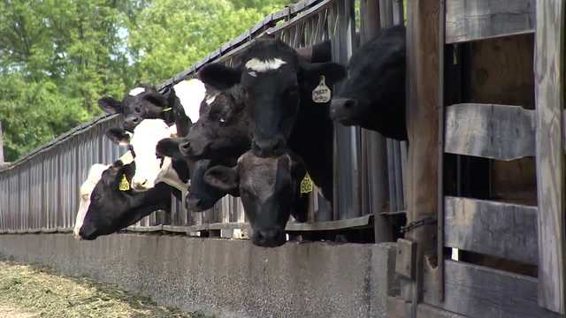 Meet your local dairy farmers - Vimarsana News