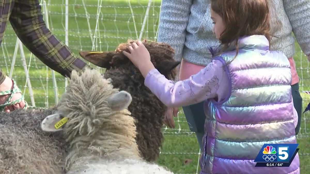Pittsford celebrates Vermont’s sheep history