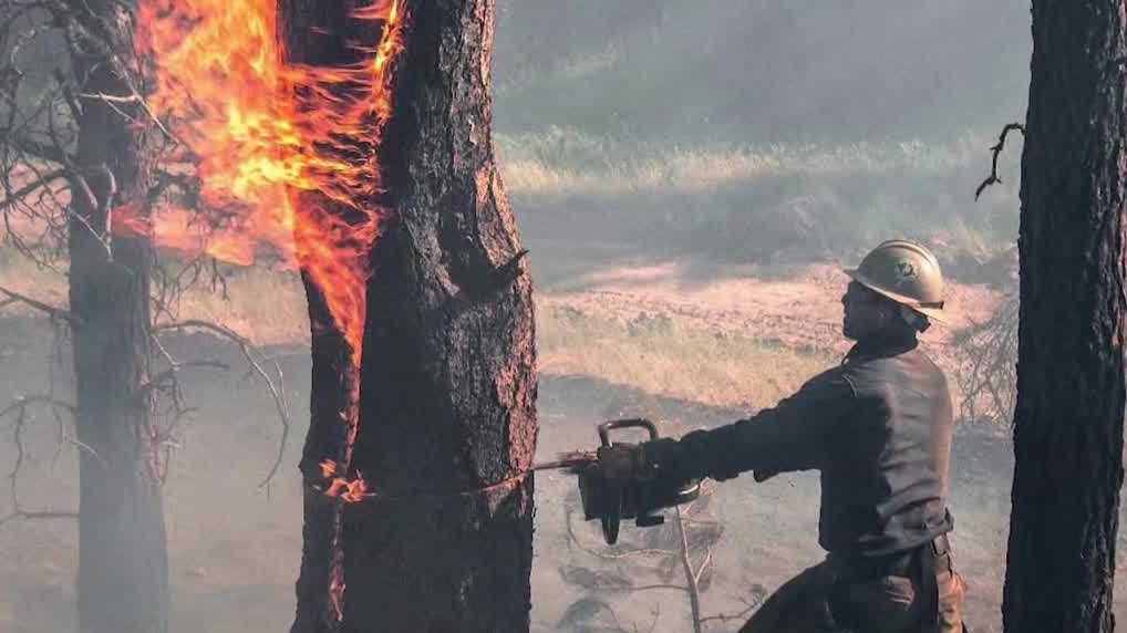 Trump approves disaster aid for Nebraska wildfire recovery
