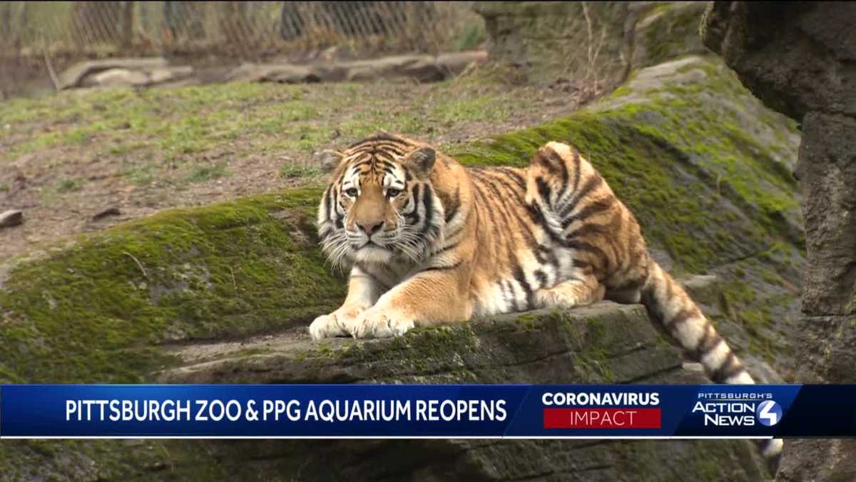 Pittsburgh Zoo & PPG Aquarium reopens after extended closure