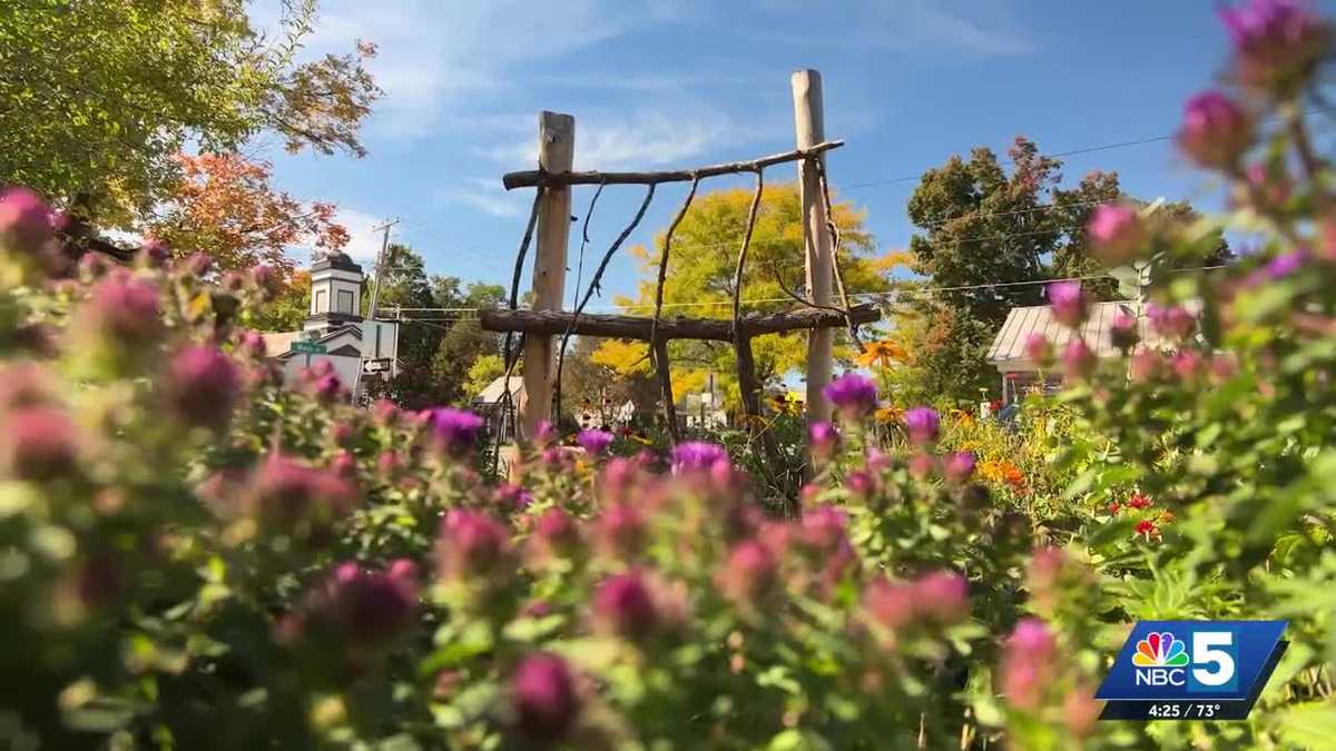 New beds, same roots: Bristol Peace Garden restored - WPTZ