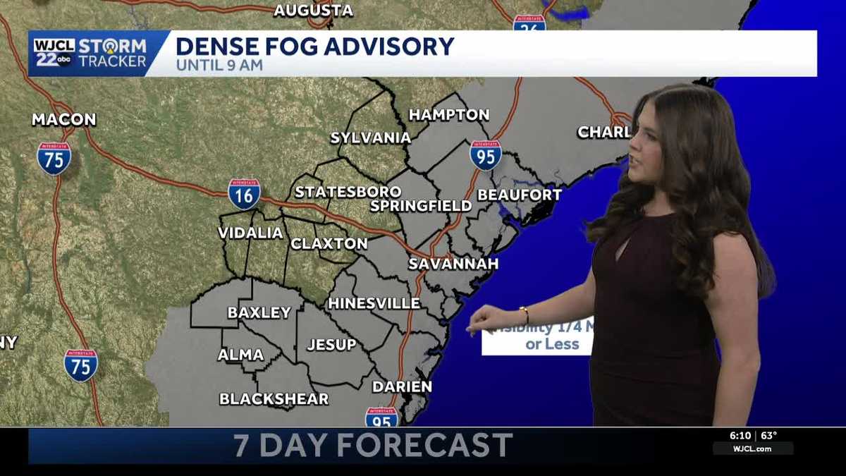 Warm temps continue this weekend for SE Georgia and the Lowcountry - WJCL