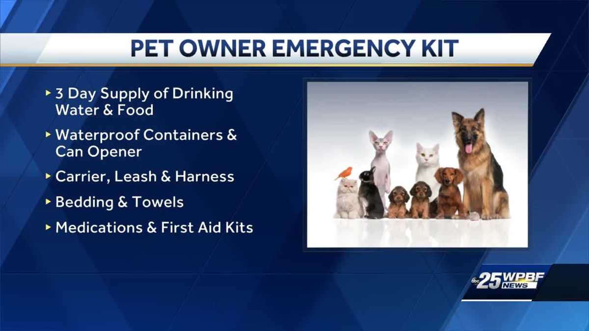 Preparing Your Pet for Hurricane Season