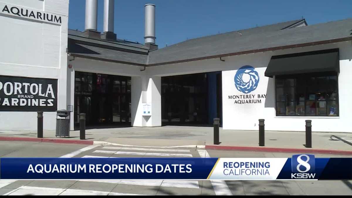Monterey Bay Aquarium to host job fair before reopening