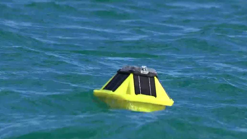 FGCU researchers deploy buoys to improve hurricane forecasts and red tide tracking