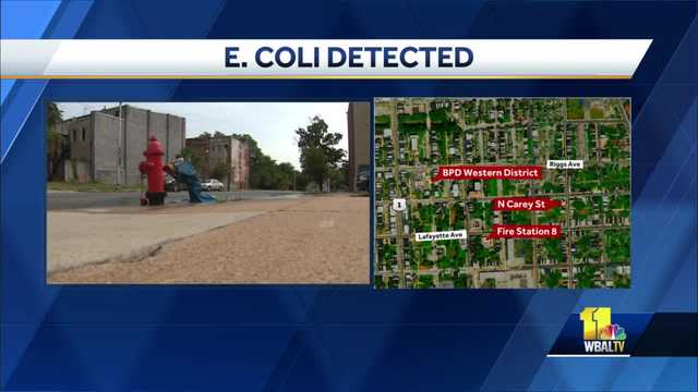 DPW: E. coli found in water of city fire, police facilities - Vimarsana News
