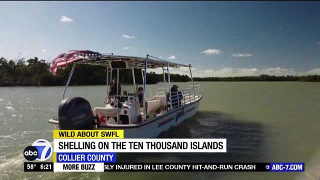 Wild About SWFL: Shelling the 10,000 Islands - Vimarsana News