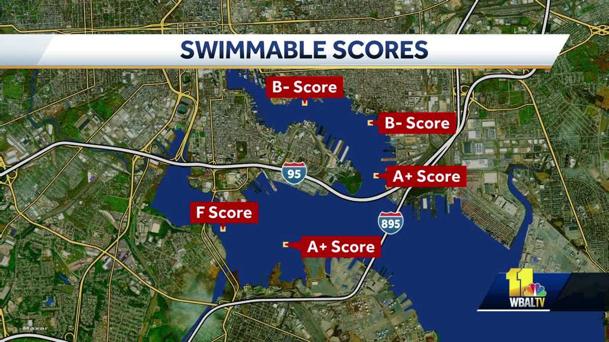 Report Inner Harbor safe to swim in 80 of time