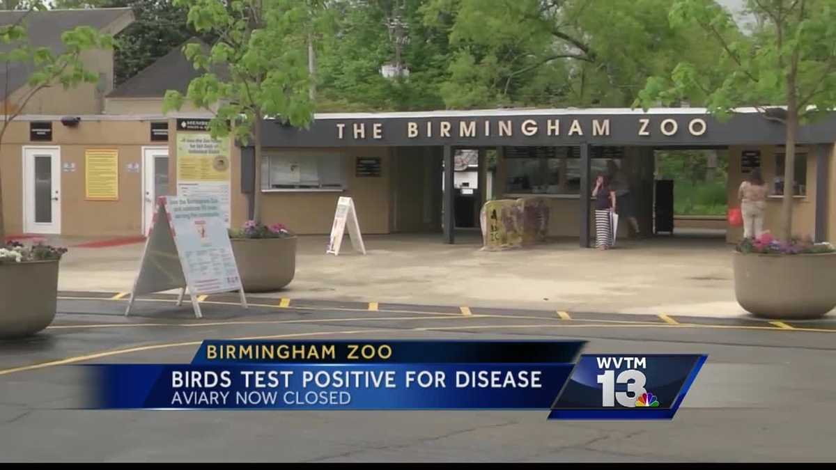 Birmingham Zoo closed its Lorikeet Aviary