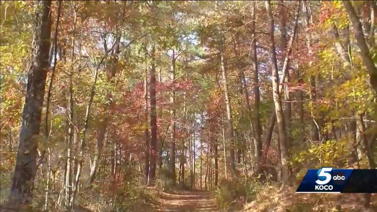 Oklahoma sees abundance of cedar tree pollen