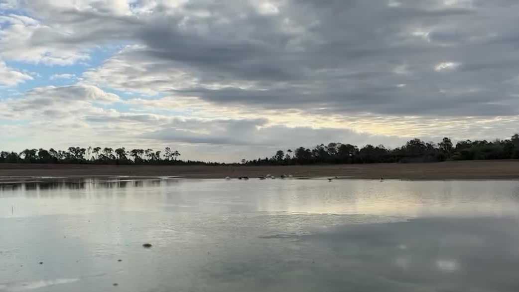 Picayune Strand restoration project in the Florida Everglades transforms Collier County wetlands
