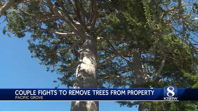 'We're fighting for our lives,' Pacific Grove couple - Vimarsana News