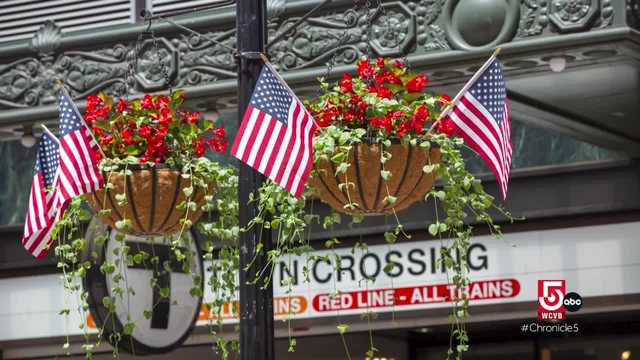 Flowers bloom in downtown Boston, while veggies grow at Fenway Park - Vimarsana News