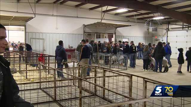 Moore FFA hosts Special Olympics Livestock Show - Vimarsana News