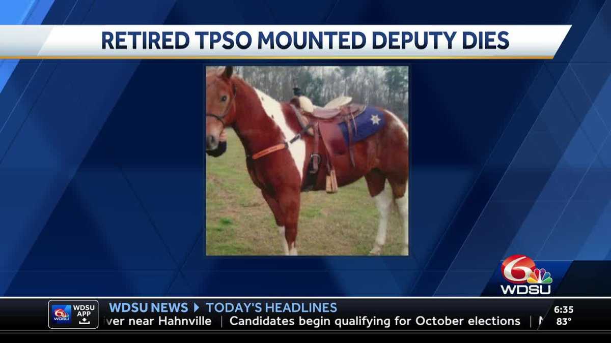 Tangipahoa Parish Sheriff's Office horse Shooter dies