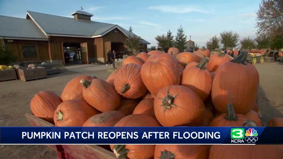 Bishop's Pumpkin Farm reopen after storm flooding forced closure