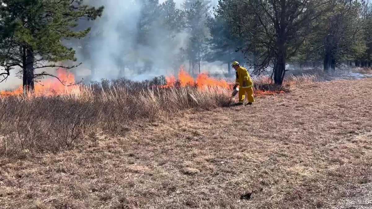 Propelled by winds, flames consume 300 acres on firing range