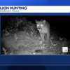 Nebraska Game and Parks changes mountain lion hunting regulations