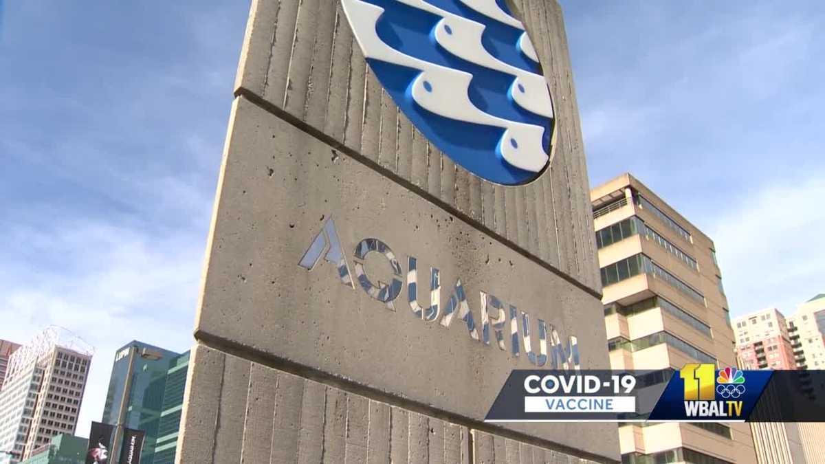 National Aquarium's COVID19 vaccine requirement lifted