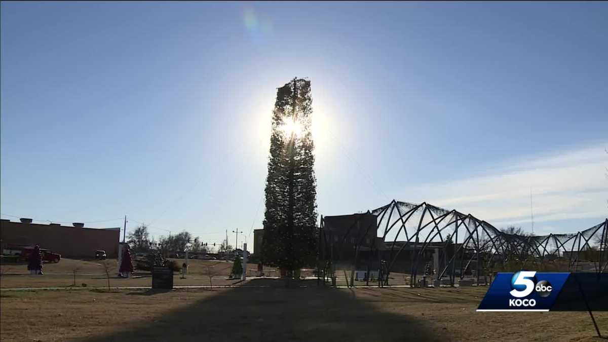 World’s Tallest Fresh Cut Christmas Tree in Enid suffers damage