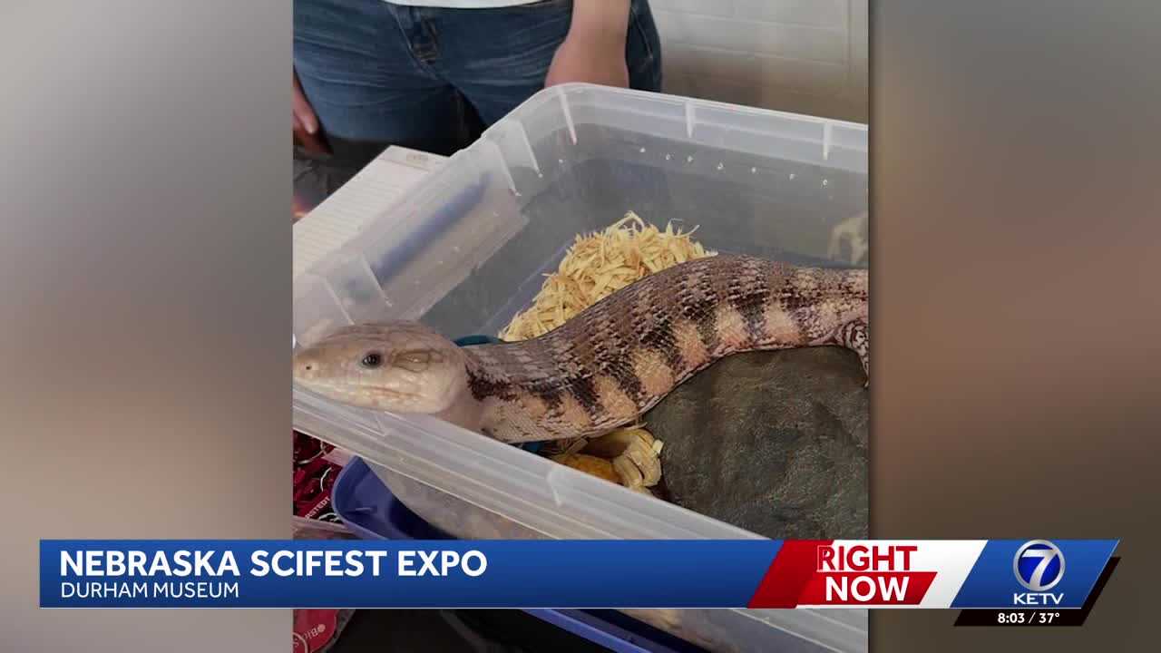 Nebraska Science Festival Expo takes over Durham Museum