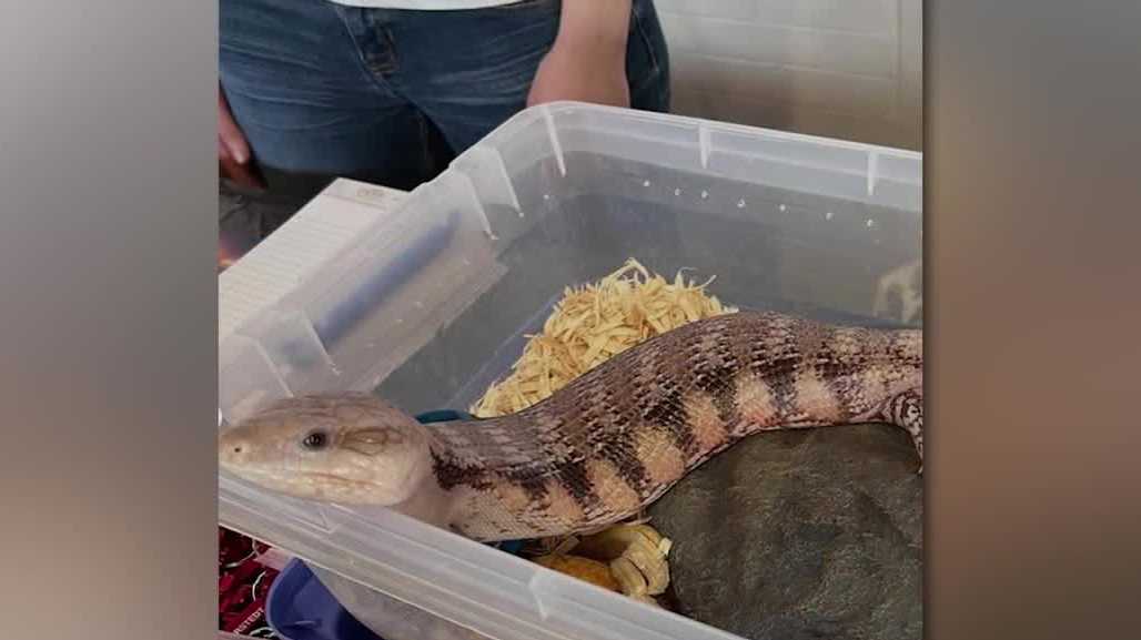 Nebraska Science Festival Expo takes over Durham Museum