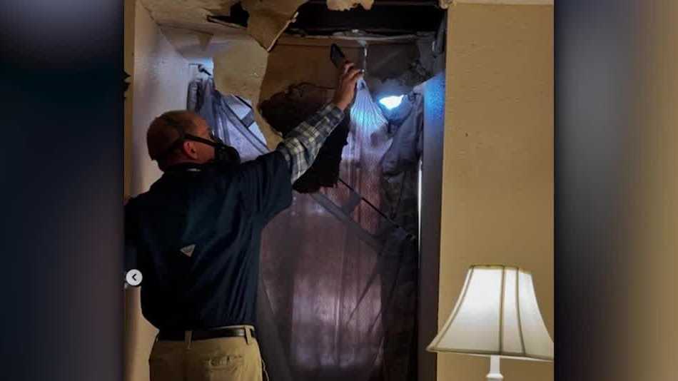 New Orleans apartment complex under investigation